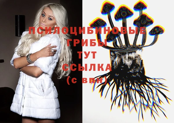 эйфоретик Алексин